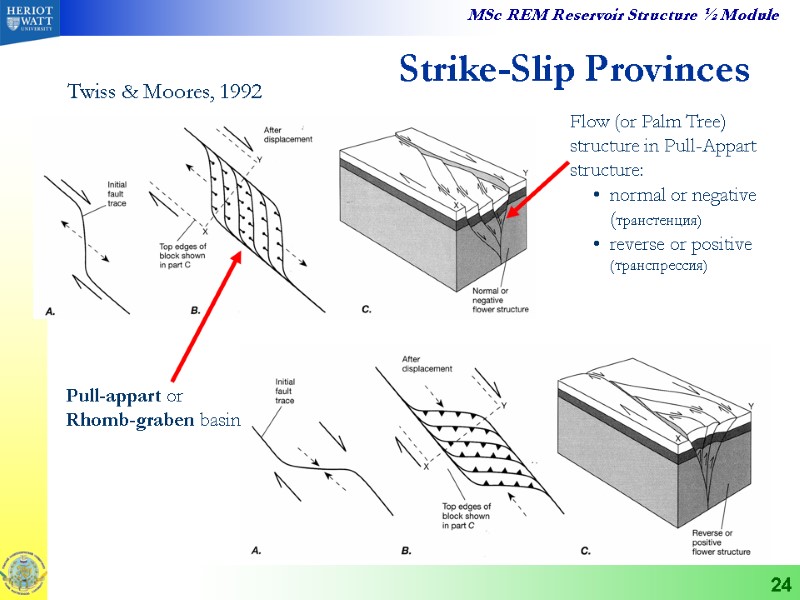 24 Strike-Slip Provinces Flow (or Palm Tree) structure in Pull-Appart structure: normal or negative